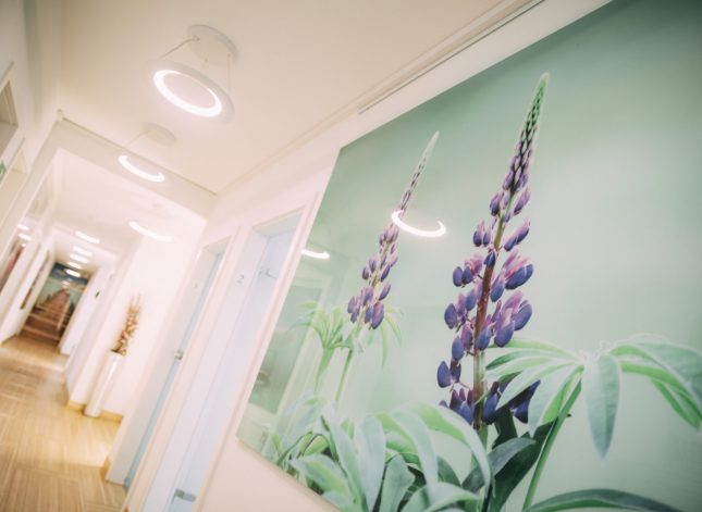 _MG_9011_Dr. Marcus_Impressionen_V20180220