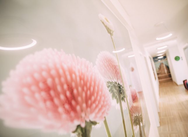 _MG_9027_Dr. Marcus_Impressionen_V20180220